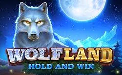 Wolf Land Hold & Win Slots