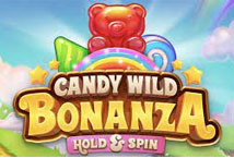 Fruity Wild Bonanza Hold and Spin Slots