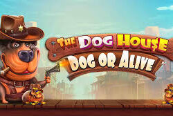 The Dog House – Dog or Alive Slot